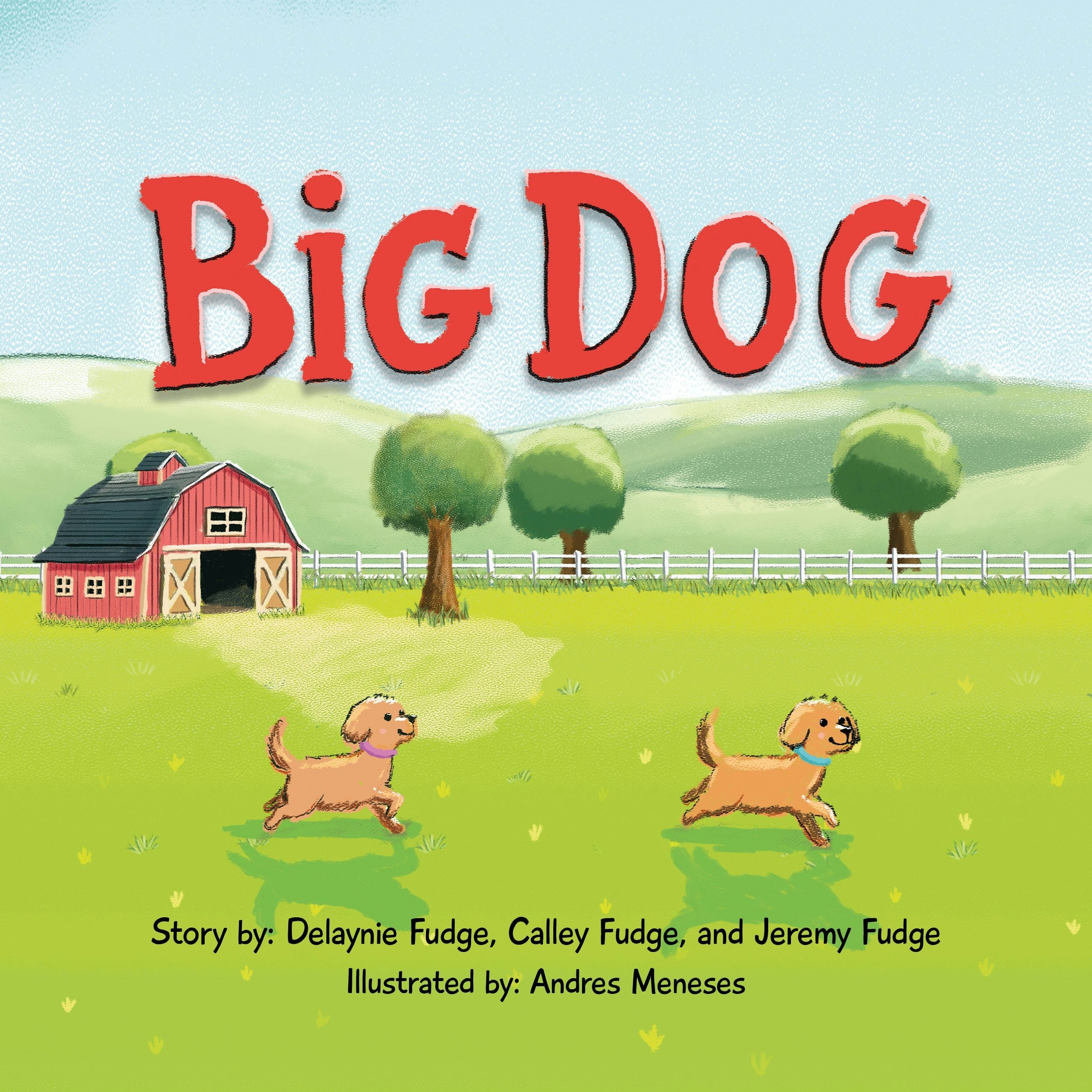Book cover image for Big Dog ISBN: 9781636986074