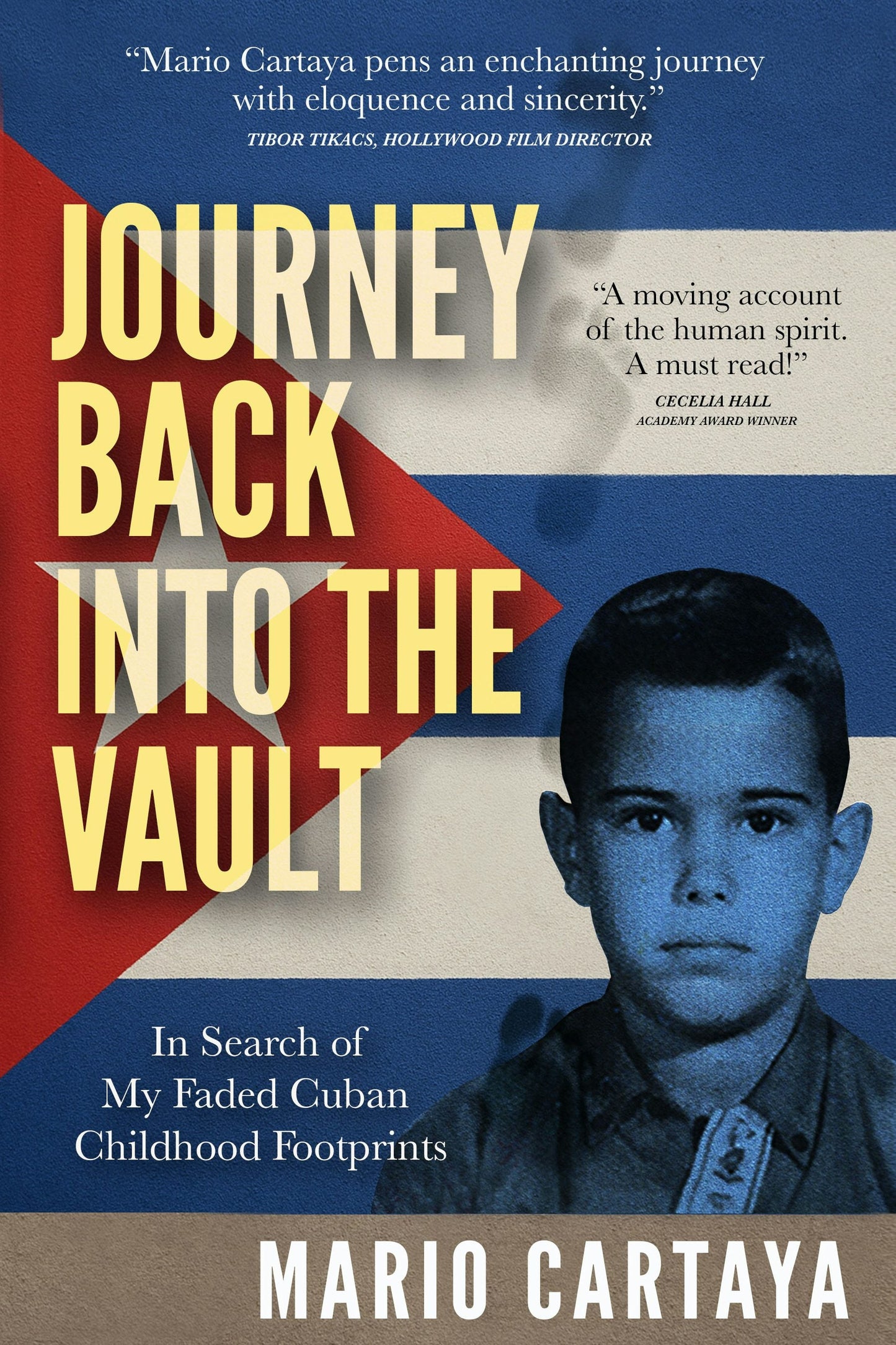 Cover image for Journey Back Into the Vault, isbn: 9781636987729