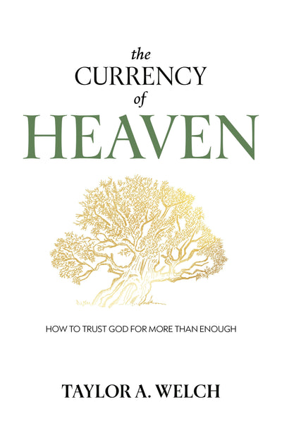 Cover image for The Currency of Heaven, isbn: 9781636989174