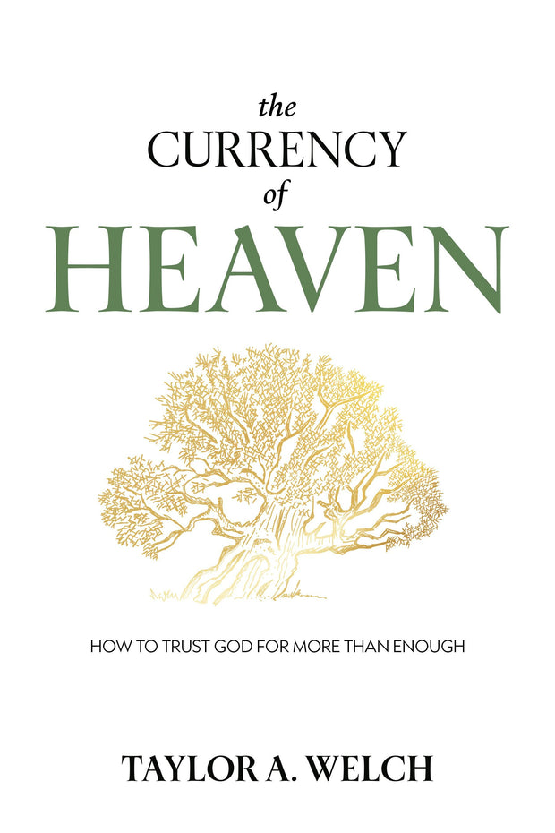 Cover image for The Currency of Heaven, isbn: 9781636989174