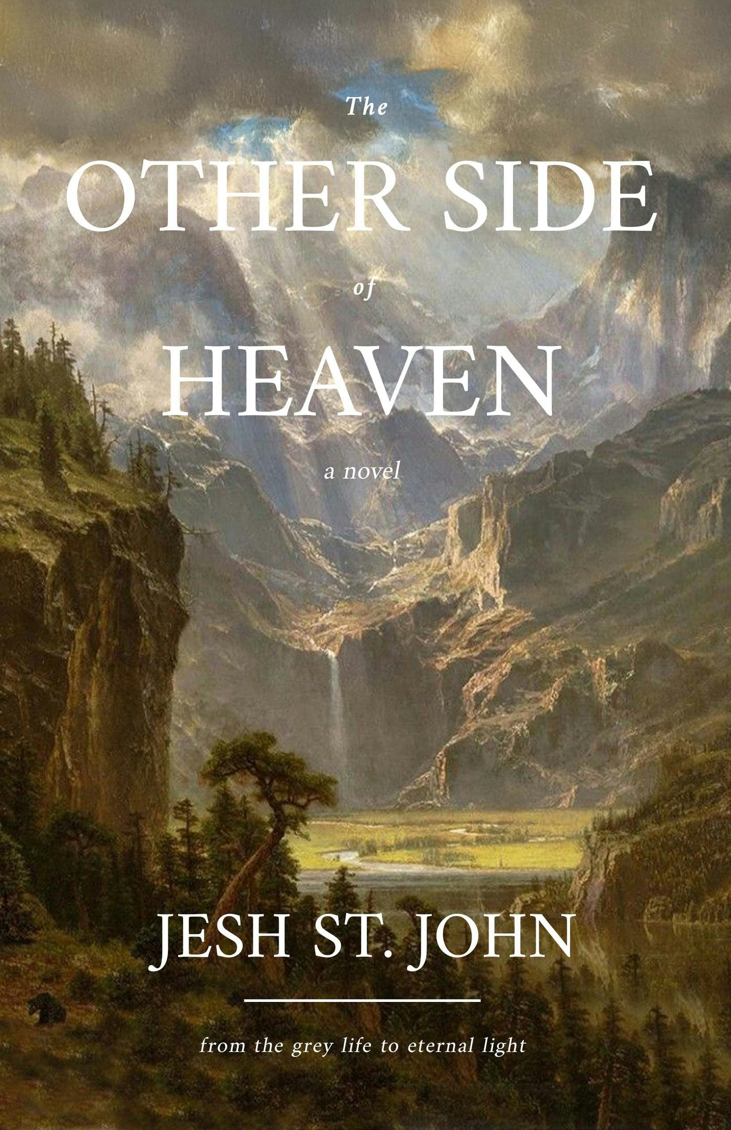 Book cover image for THE OTHER SIDE OF HEAVEN - a novel ISBN: 9781636989532