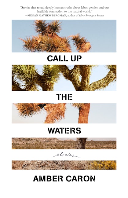 Book cover image for Call Up the Waters ISBN: 9781639550449