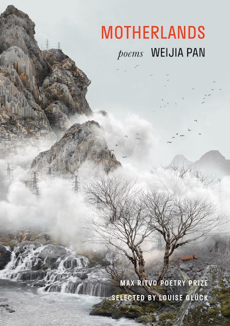 Book cover image for Motherlands ISBN: 9781639551132