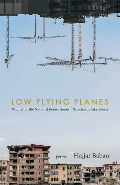 Cover image for LOW FLYING PLANES, isbn: 9781639551316