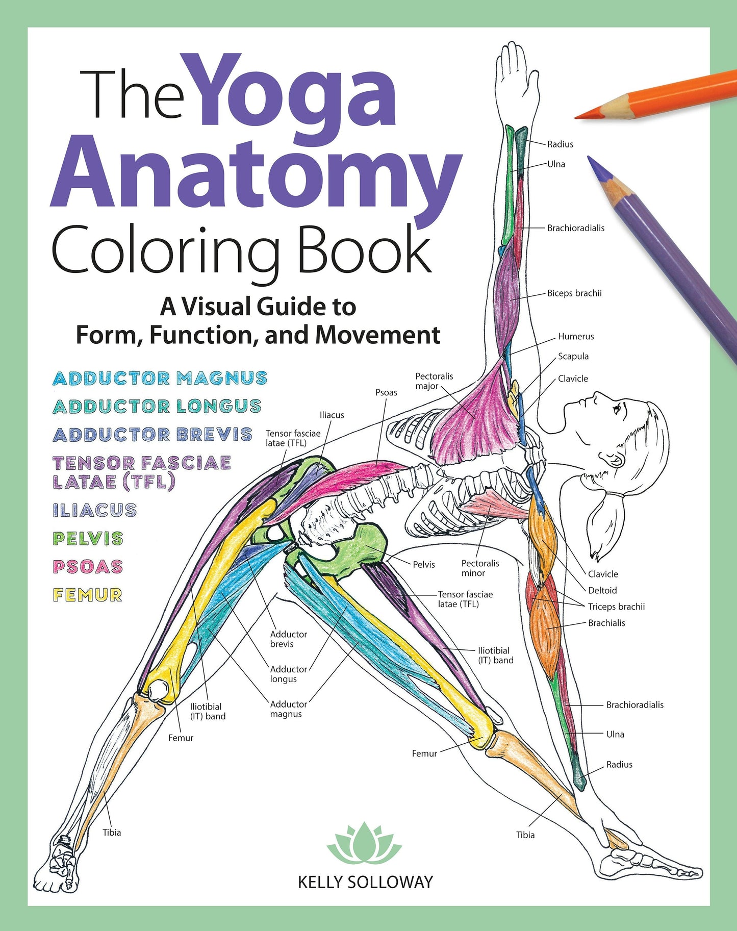 Book cover image for Yoga Anatomy Coloring Book ISBN: 9781640210219