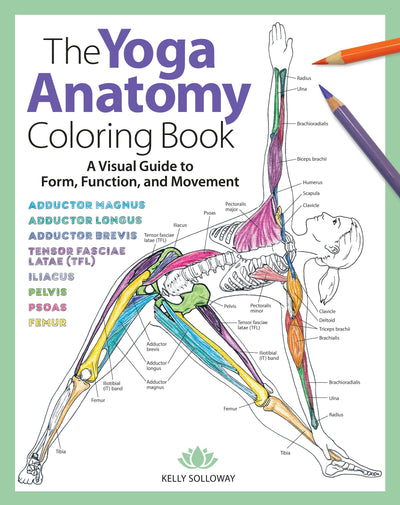 Cover image for Yoga Anatomy Coloring Book, isbn: 9781640210219