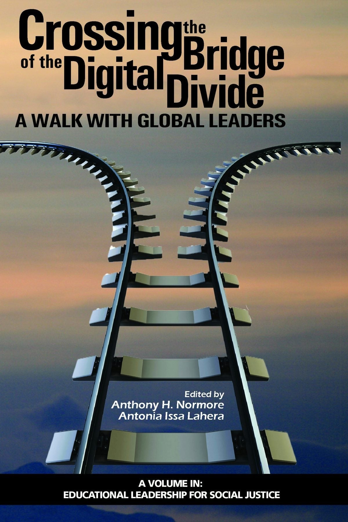 Book cover image for Crossing the Bridge of the Digital Divide ISBN: 9781641133906