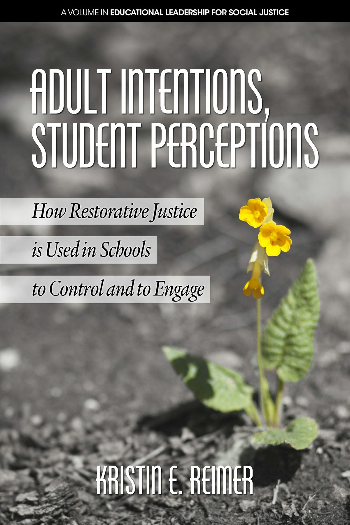 Book cover image for Adult Intentions, Student Perceptions ISBN: 9781641135047