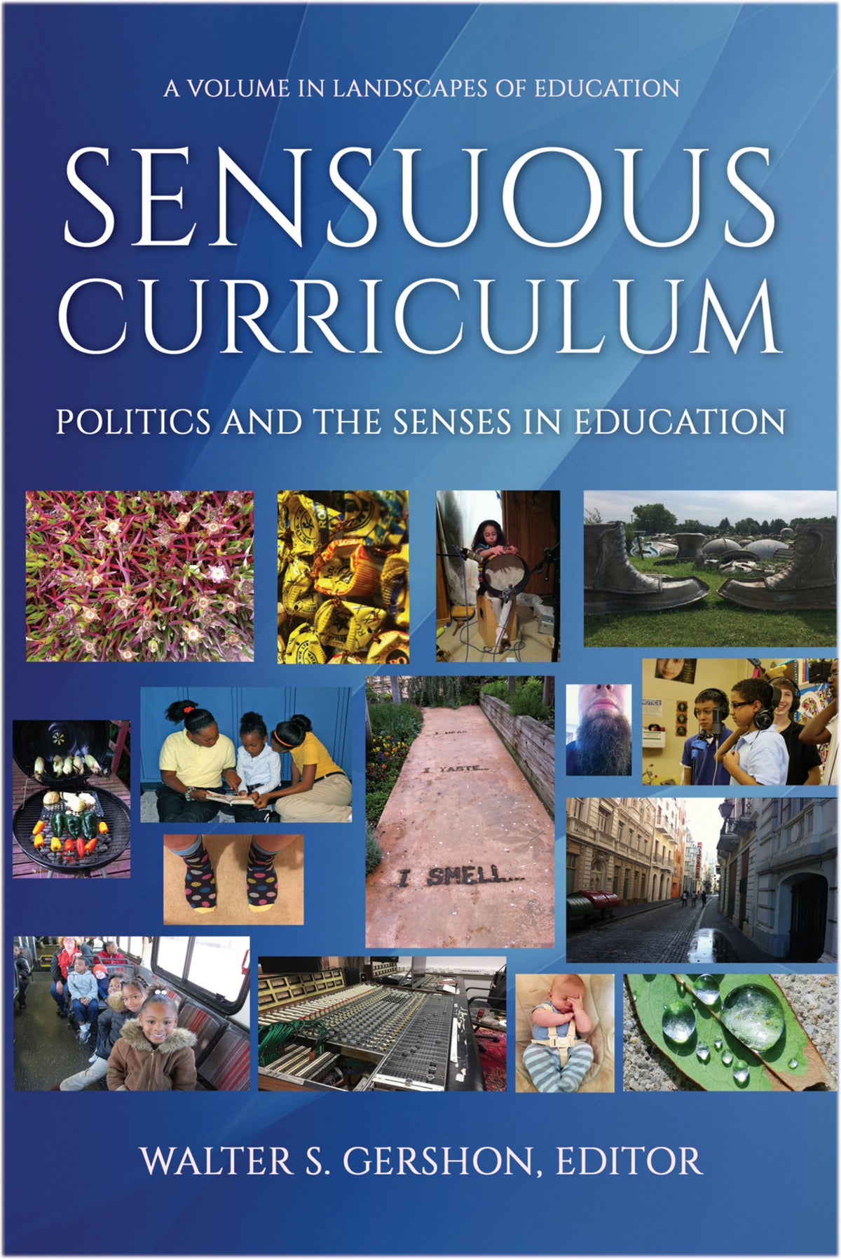Cover image for Sensuous Curriculum ISBN 9781641135818
