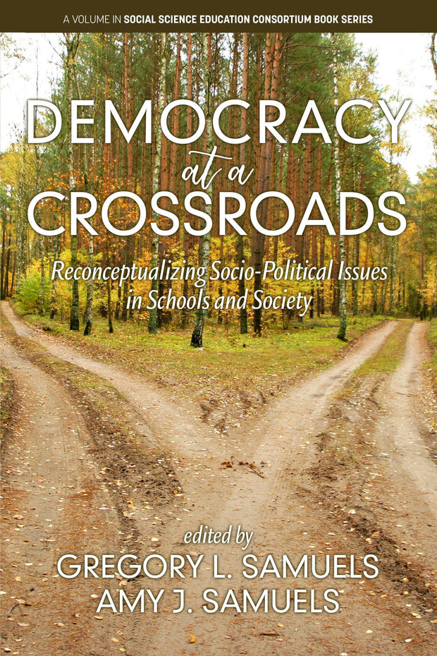Cover image for Democracy at a Crossroads, isbn: 9781641137164