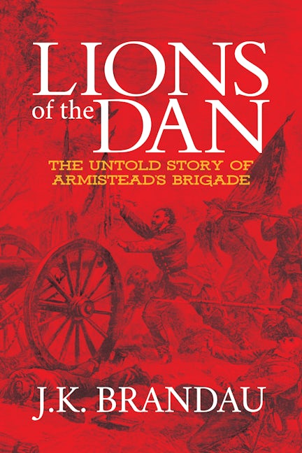 Book cover image for Lions of the Dan ISBN: 9781642793086