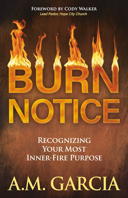 Book cover image for Burn Notice ISBN: 9781642799446