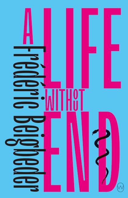Book cover image for A Life Without End ISBN: 9781642860672