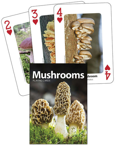 Cover image for Mushrooms Playing Cards, isbn: 9781647550493