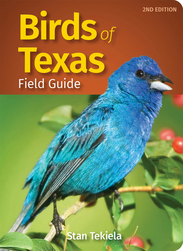 Cover image for Birds of Texas Field Guide, isbn: 9781647550639