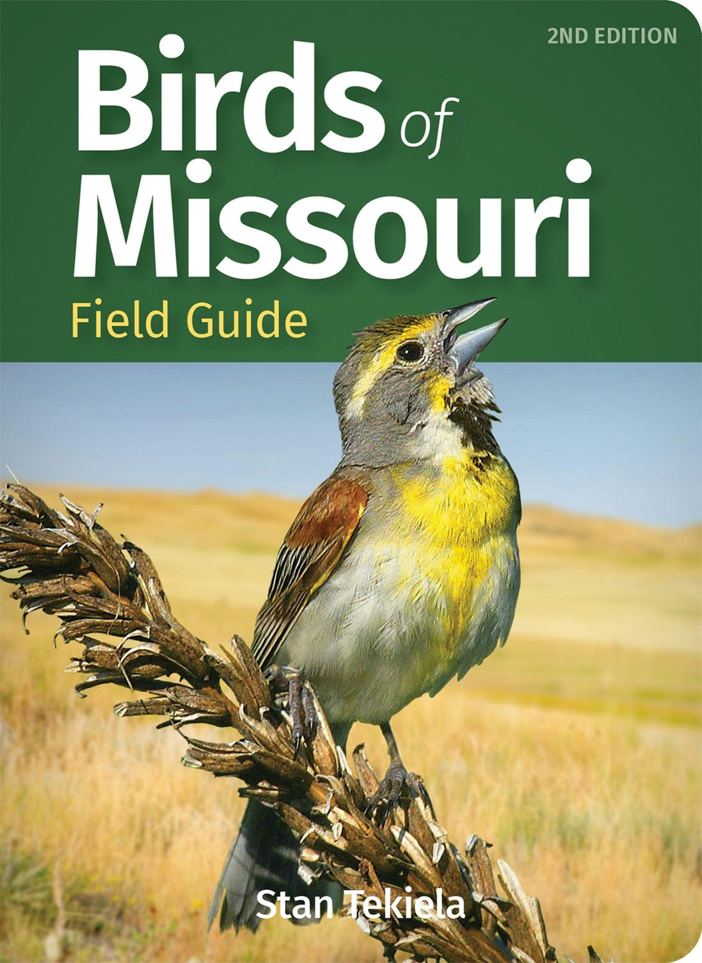 Book cover image for Birds of Missouri Field Guide ISBN: 9781647550868