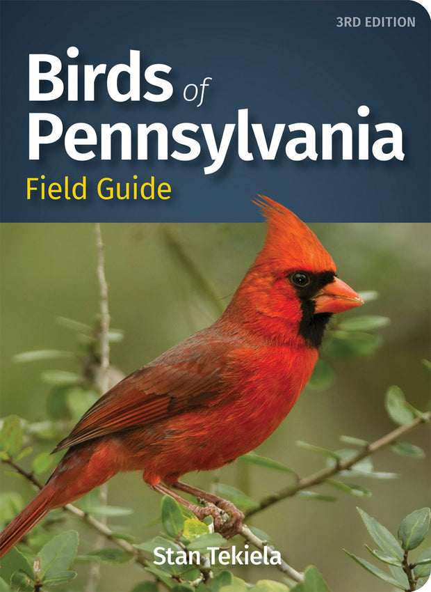 Cover image for Birds of Pennsylvania Field Guide, isbn: 9781647550899