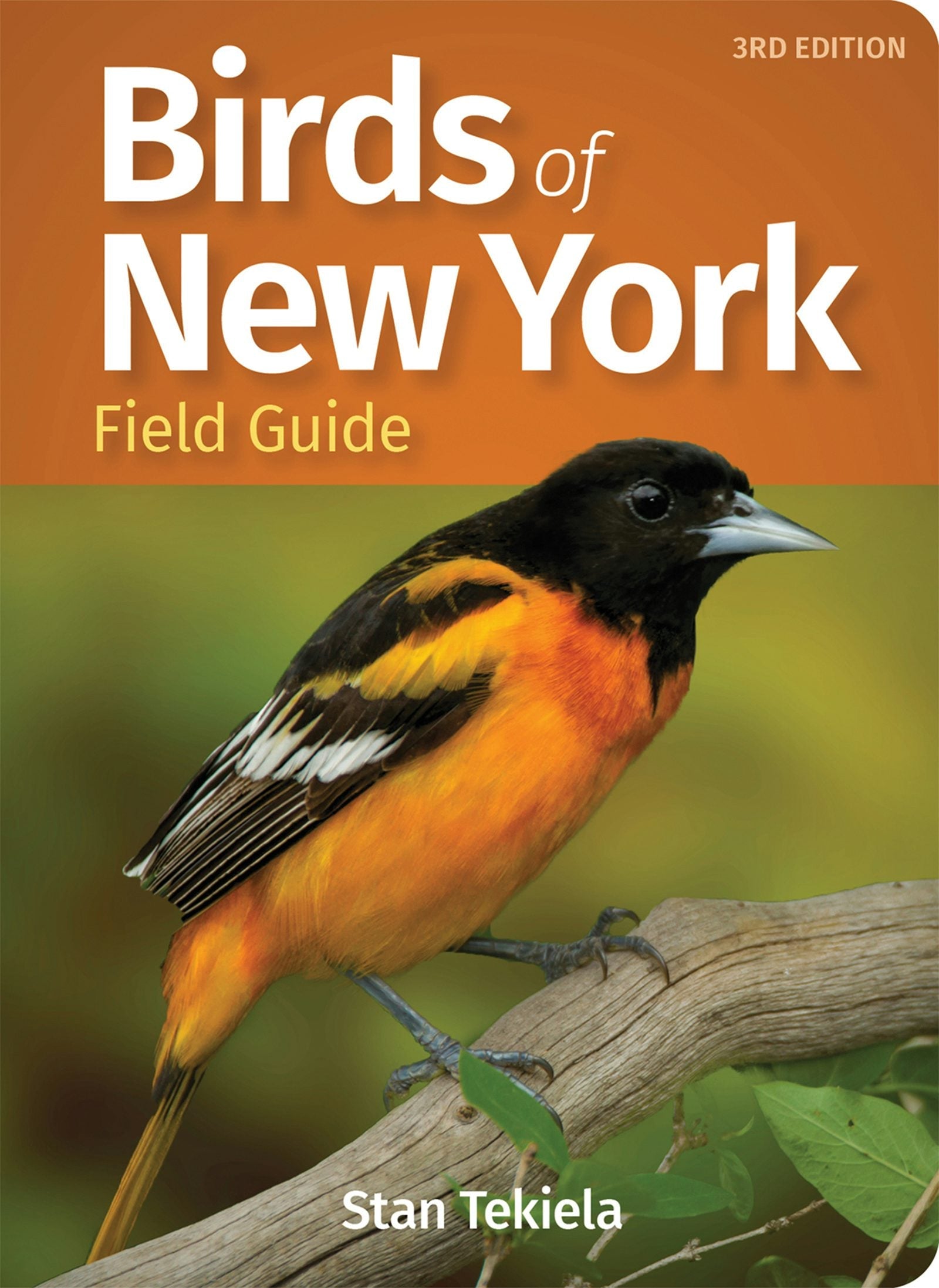 Book cover image for Birds of New York Field Guide ISBN: 9781647550929