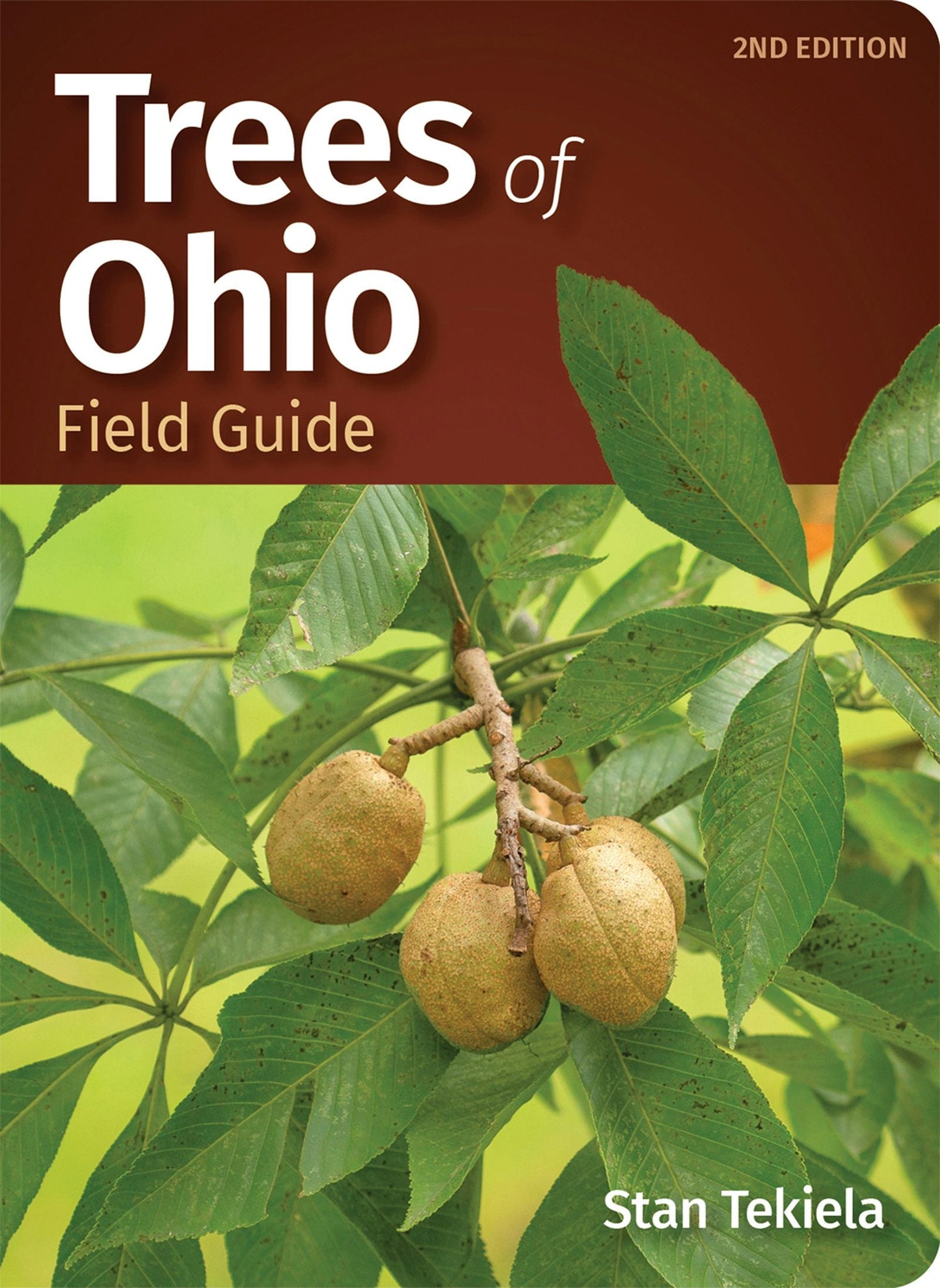 Book cover image for Trees of Ohio Field Guide ISBN: 9781647550950