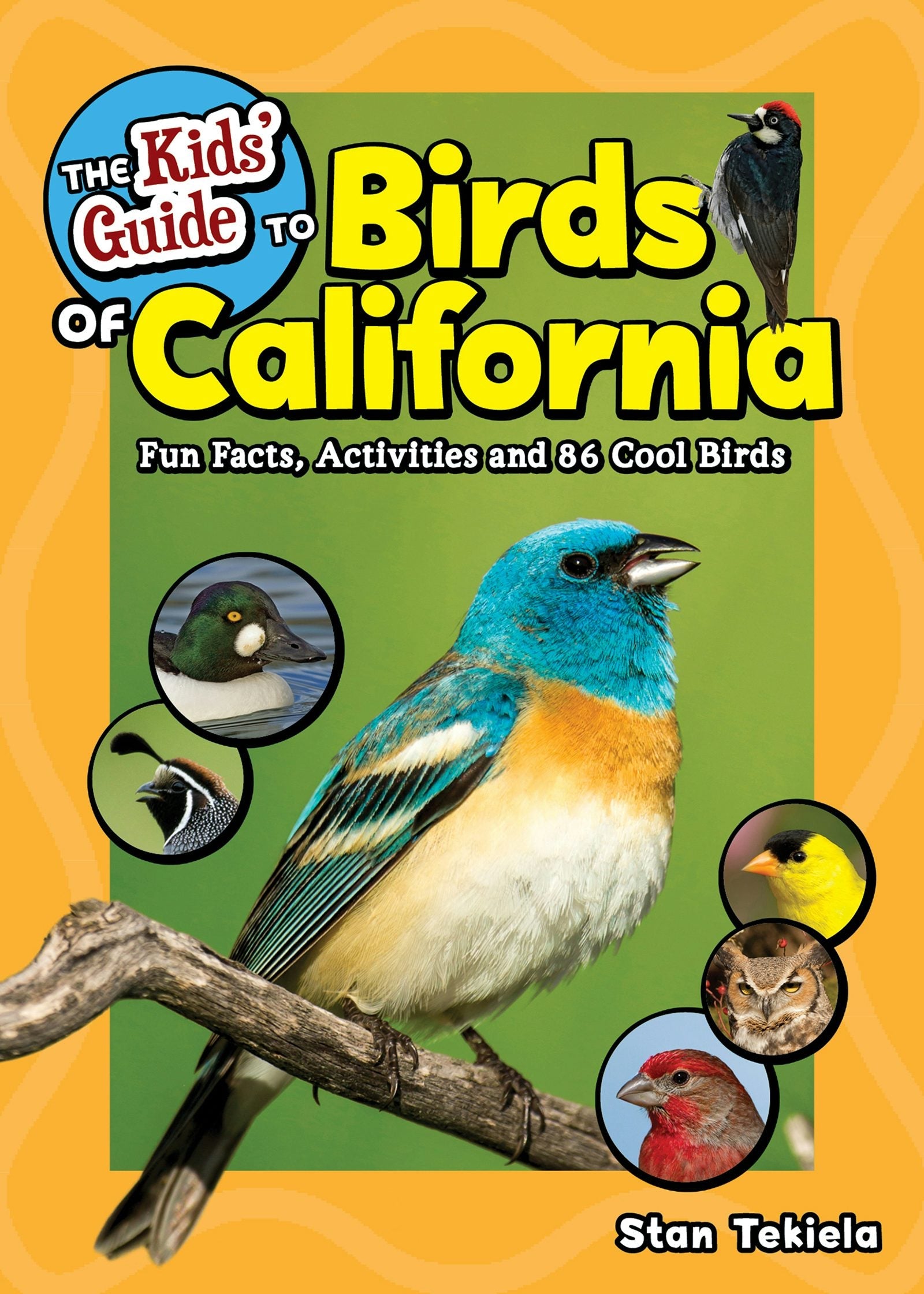 Book cover image for The Kids' Guide to Birds of California ISBN: 9781647551391