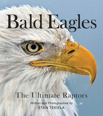 Cover image for Bald Eagles, isbn: 9781647551469