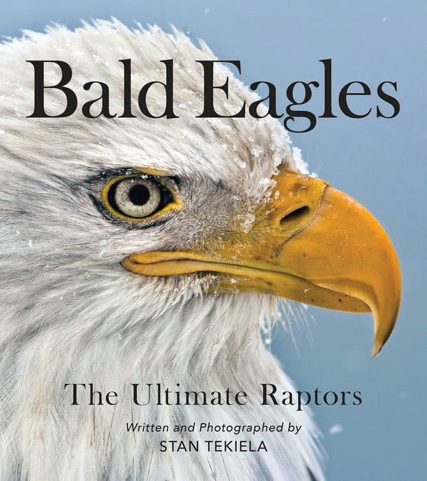 Cover image for Bald Eagles, isbn: 9781647551469