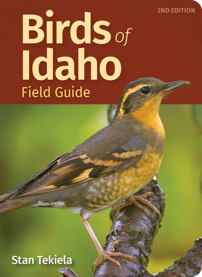 Cover image for Birds of Idaho Field Guide, isbn: 9781647551490