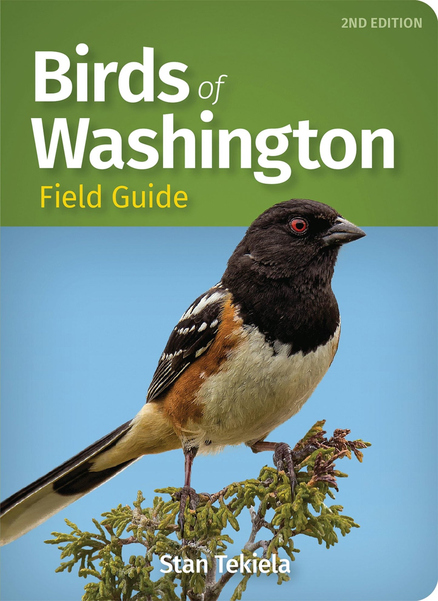 Book cover image for Birds of Washington Field Guide ISBN: 9781647551551
