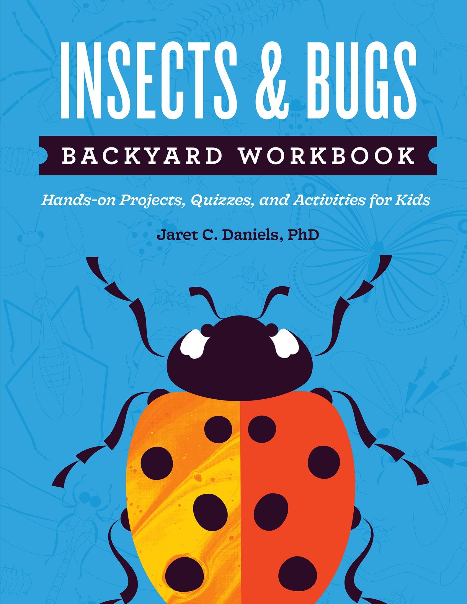 Cover image for Insects & Bugs Backyard Workbook ISBN 9781647551599