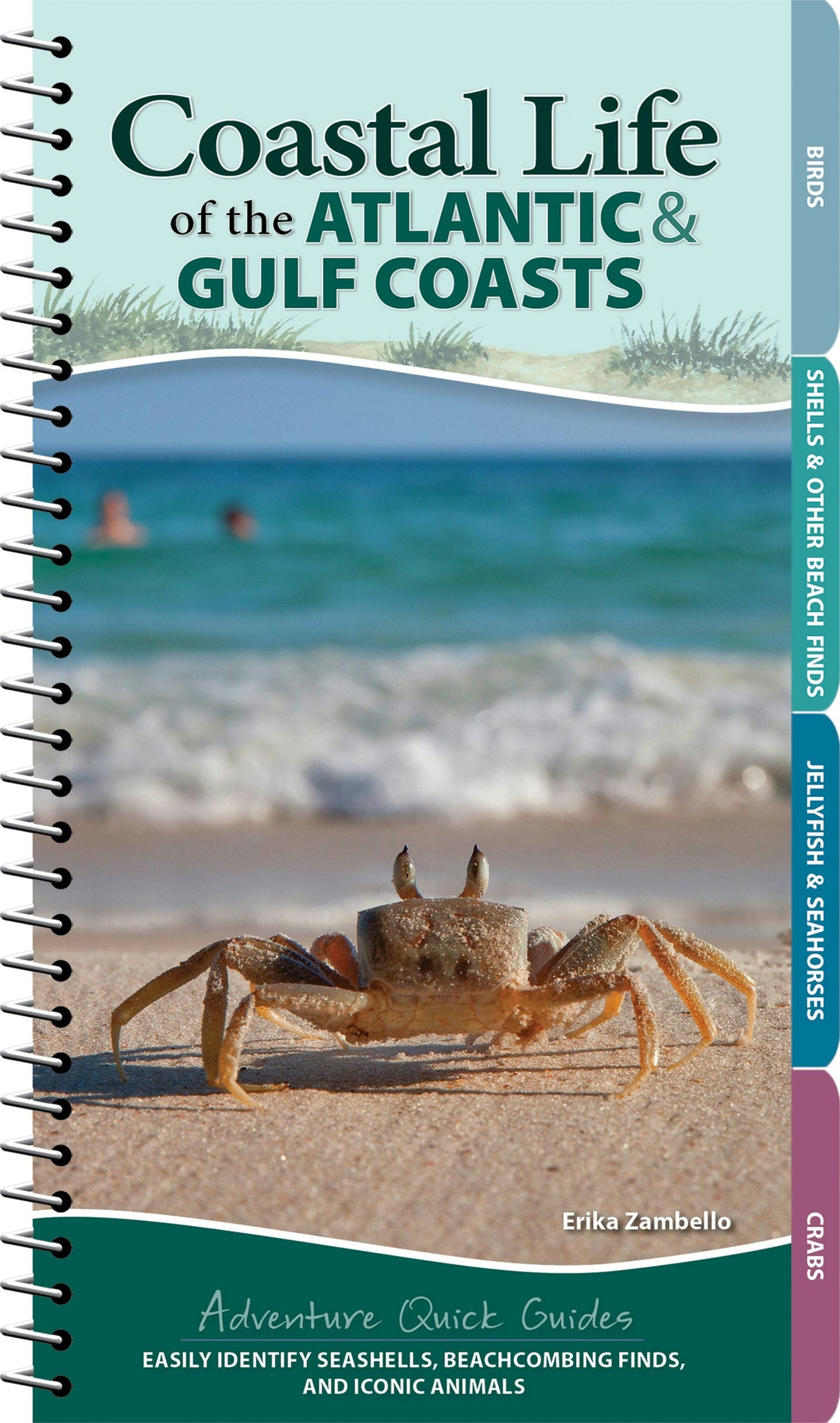 Book cover image for Coastal Life of the Atlantic and Gulf Coasts ISBN: 9781647551872