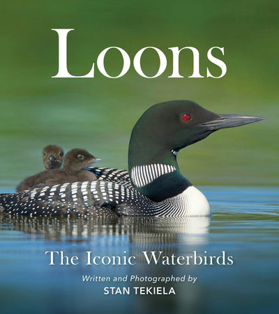 Cover image for Loons, isbn: 9781647552107