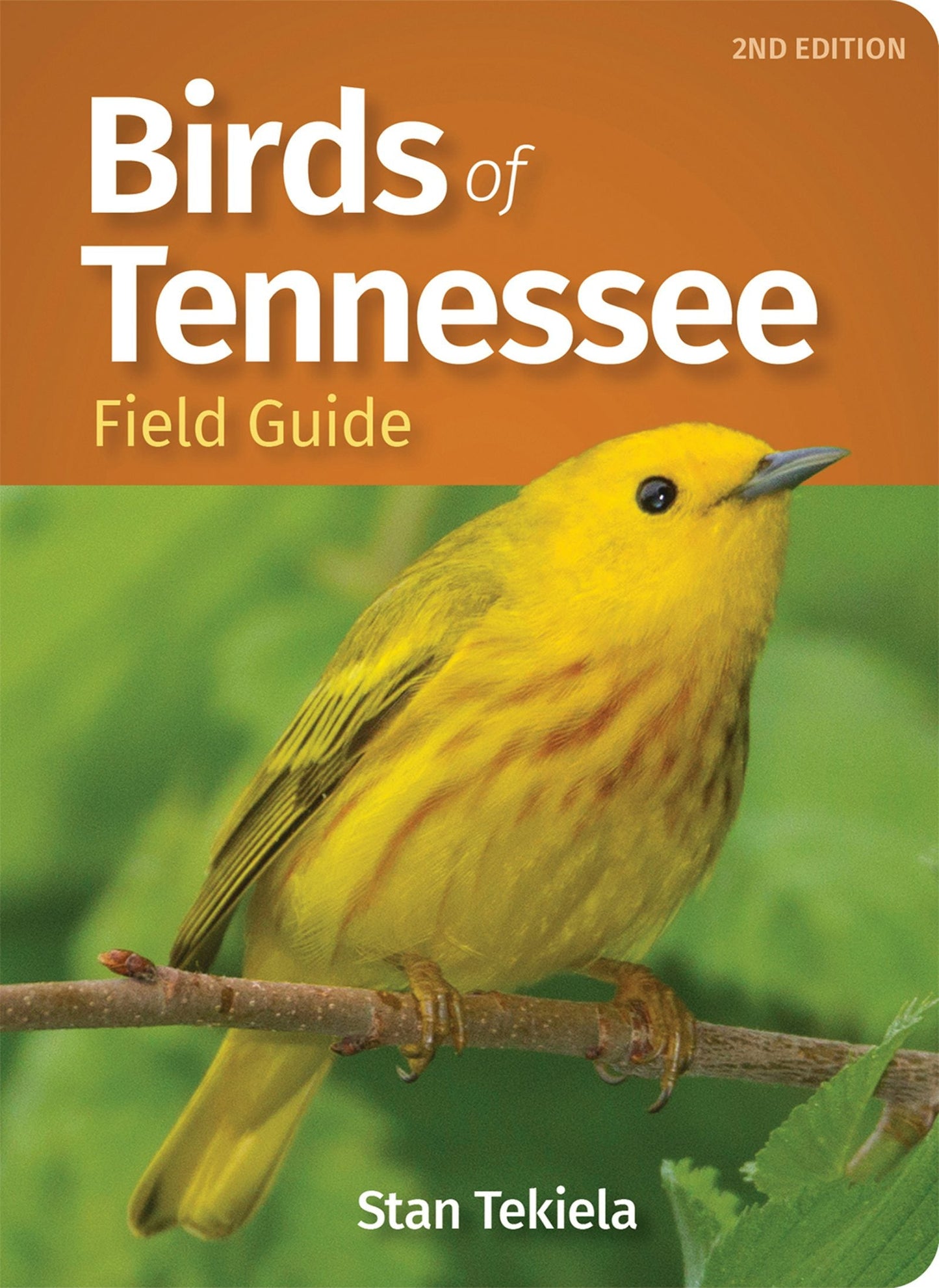 Book cover image for Birds of Tennessee Field Guide ISBN: 9781647552152