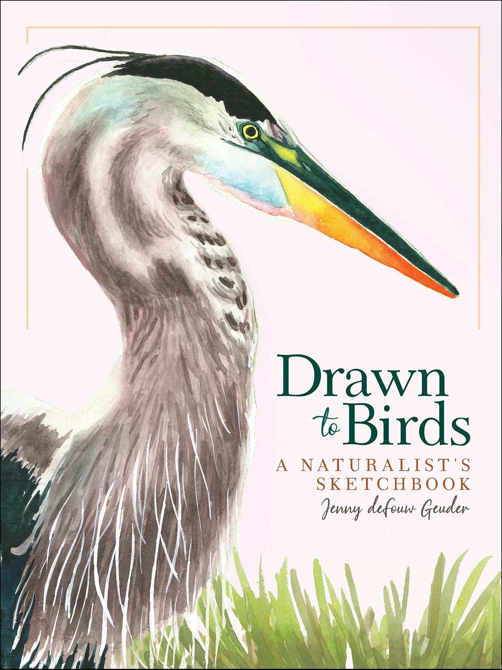 Book cover image for Drawn to Birds ISBN: 9781647552251