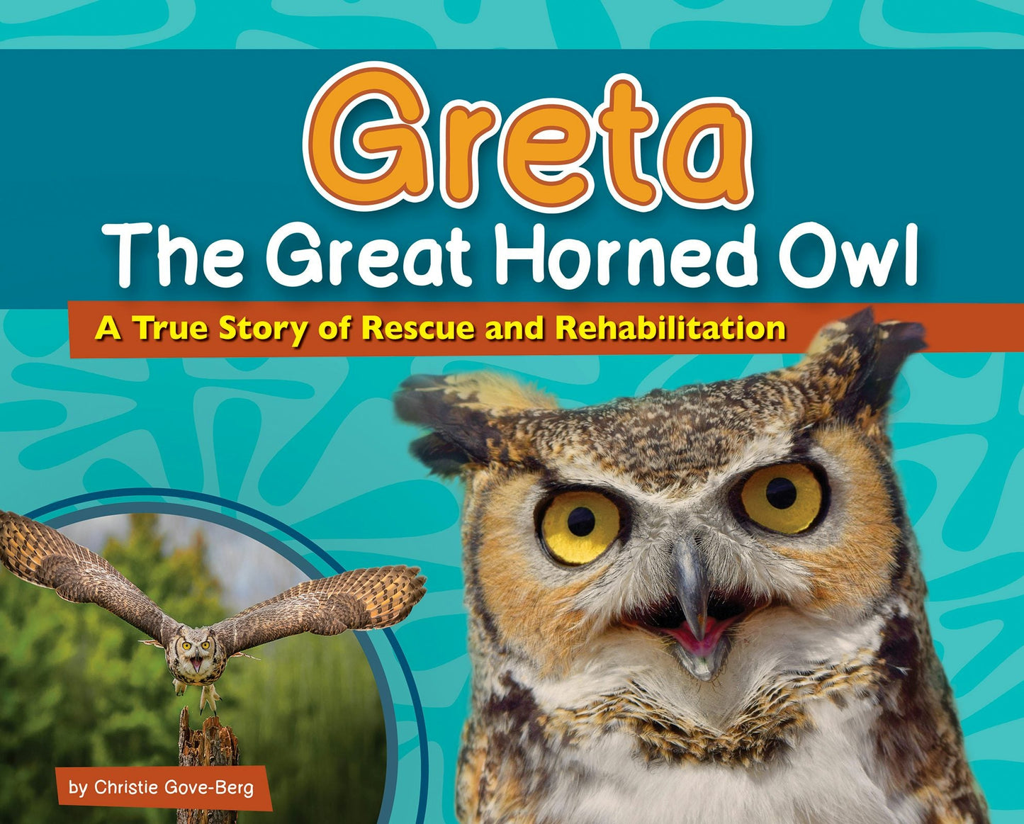 Book cover image for Greta the Great Horned Owl ISBN: 9781647552275