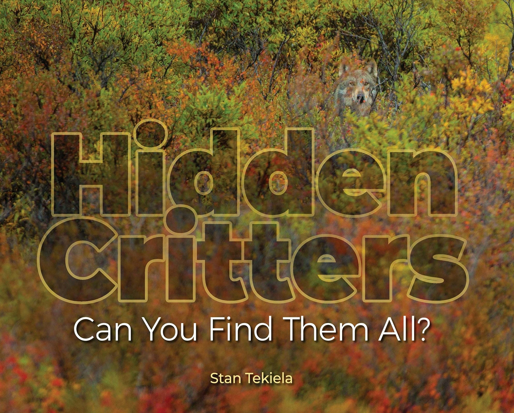 Book cover image for Hidden Critters ISBN: 9781647552282