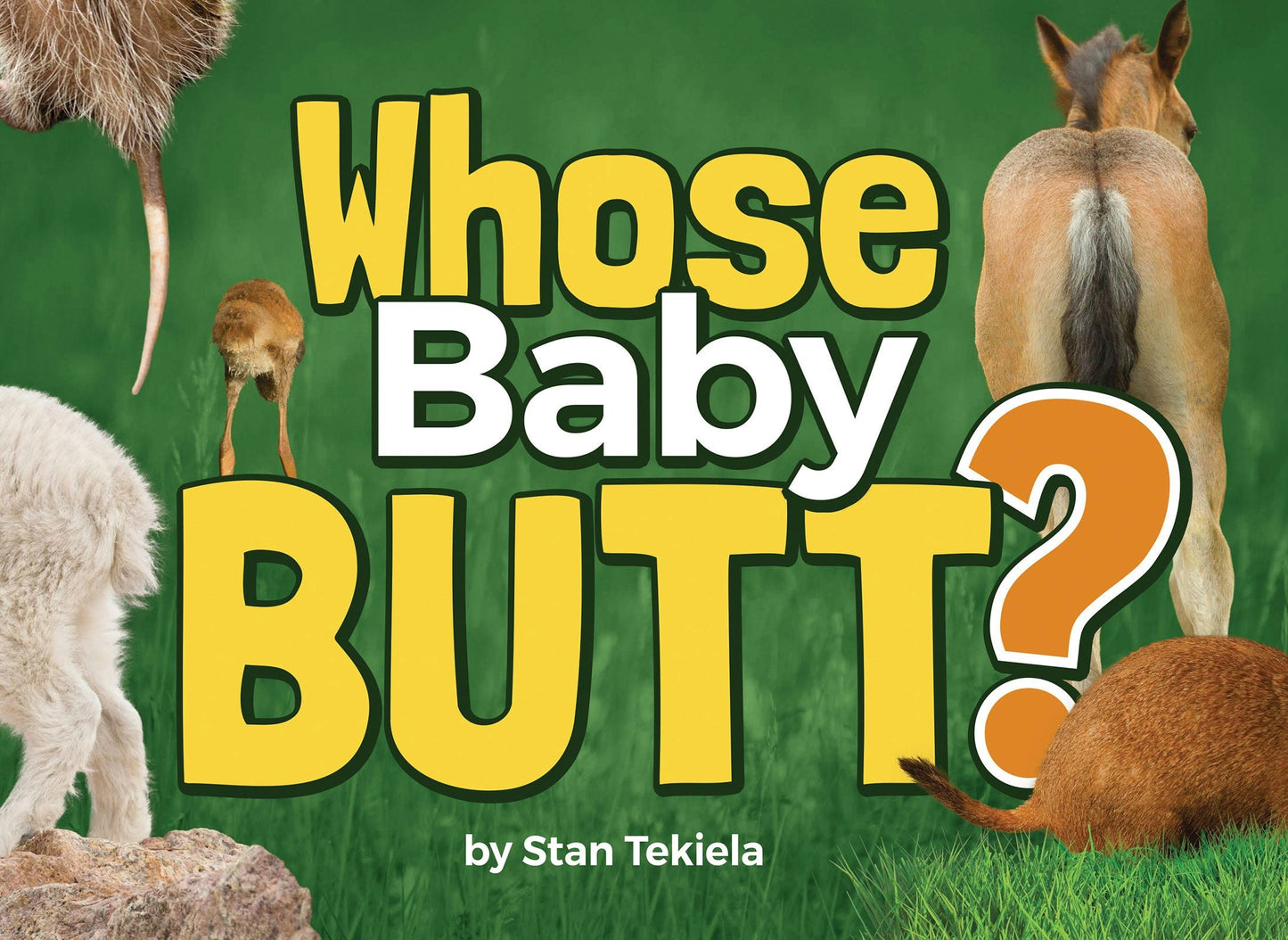 Book cover image for Whose Baby Butt? ISBN: 9781647552299