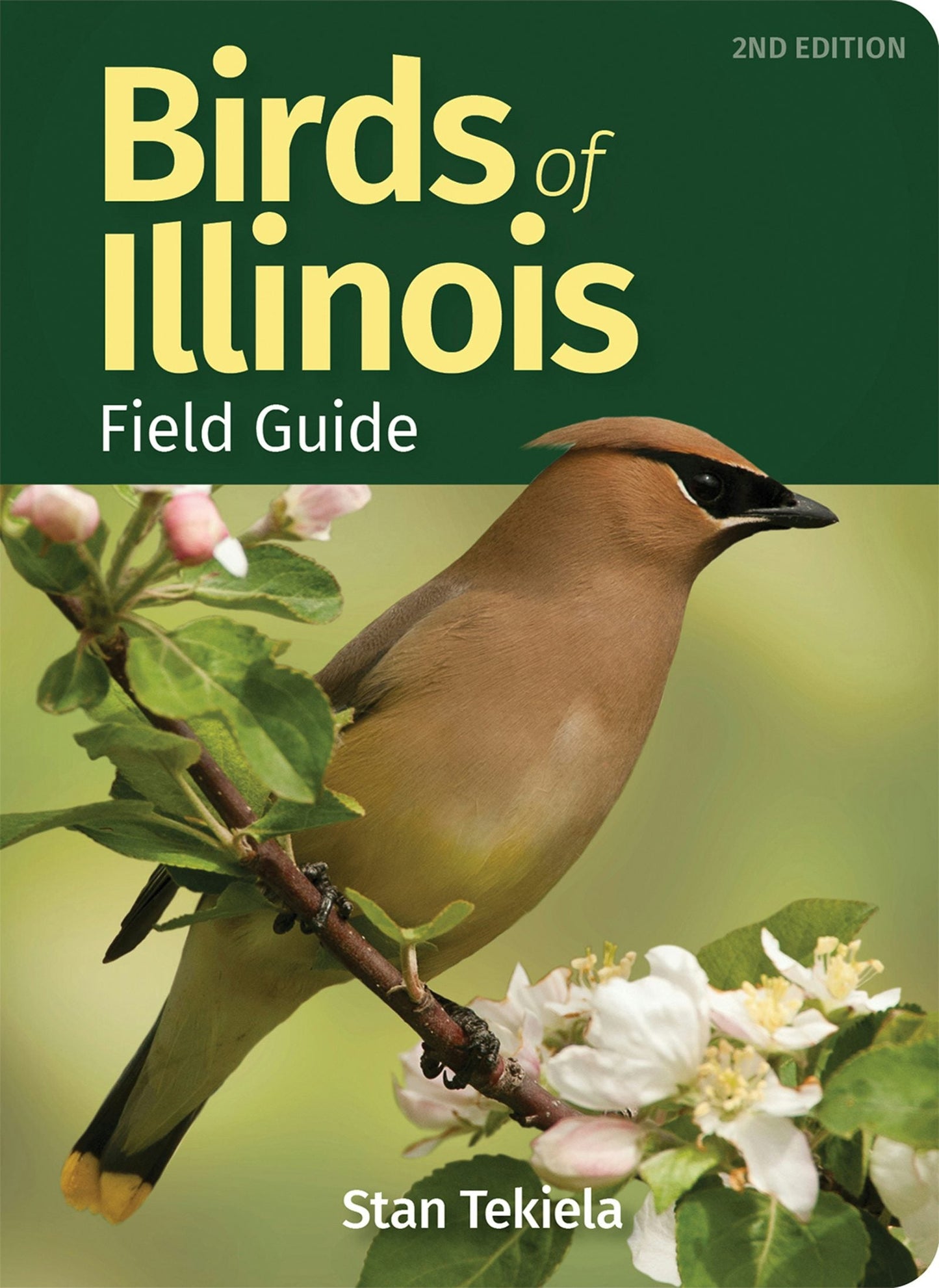 Book cover image for Birds of Illinois Field Guide ISBN: 9781647552374