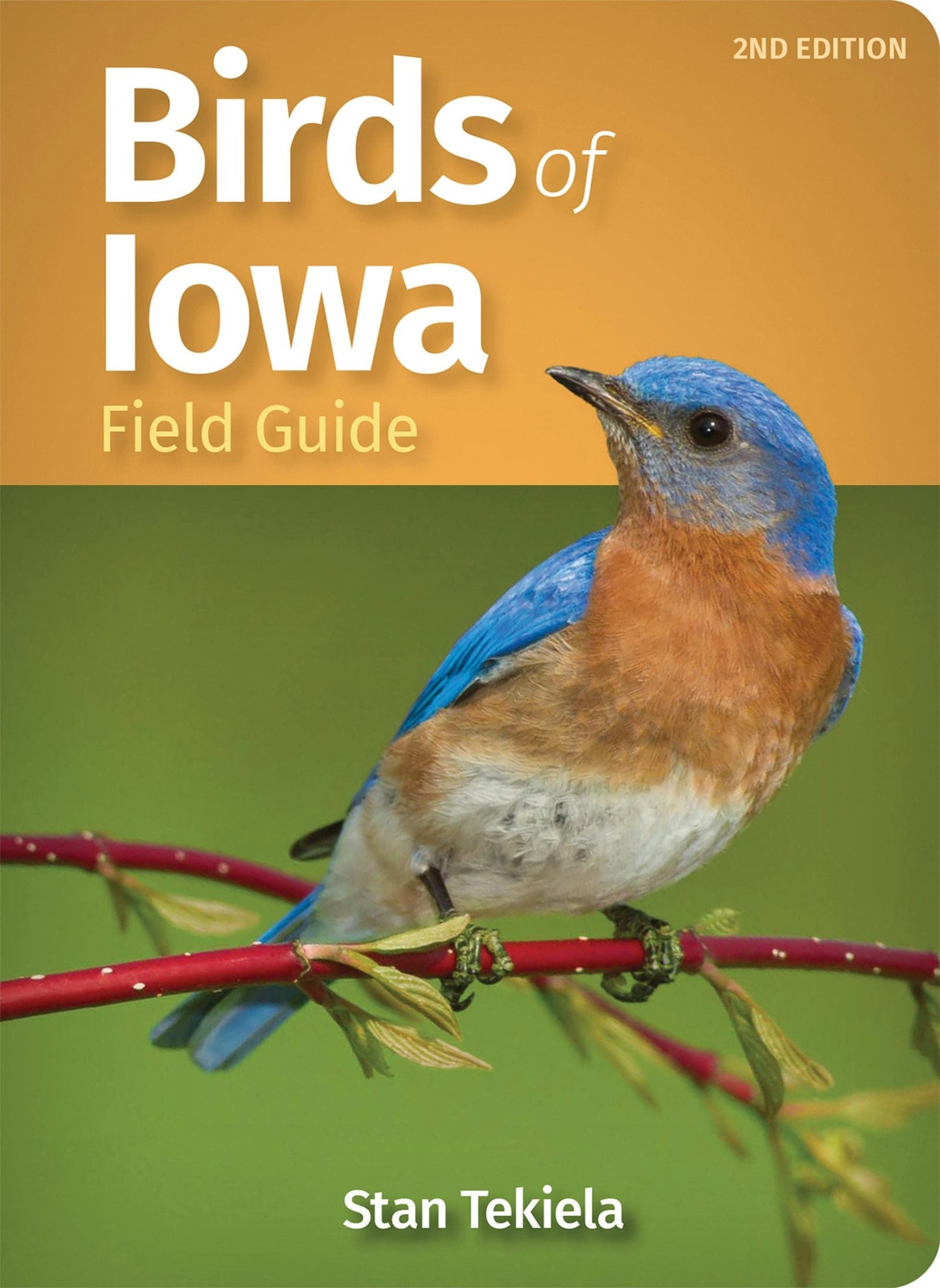 Book cover image for Birds of Iowa Field Guide ISBN: 9781647552428