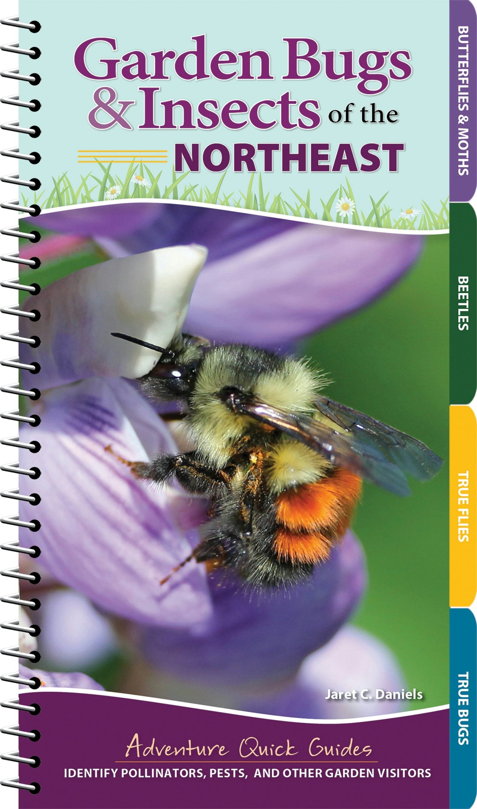 Book cover image for Garden Bugs & Insects of the Northeast ISBN: 9781647552442