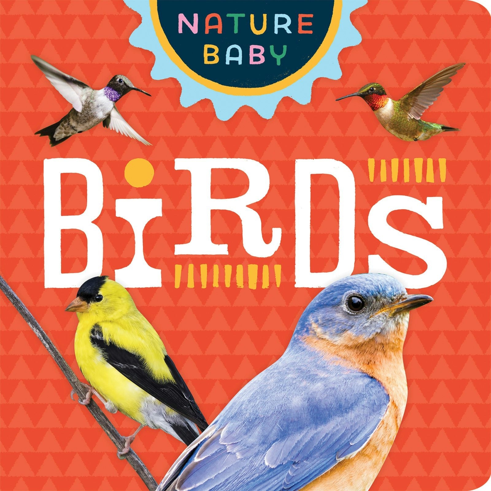 Cover image for Nature Baby: Birds: ISBN 9781647552589