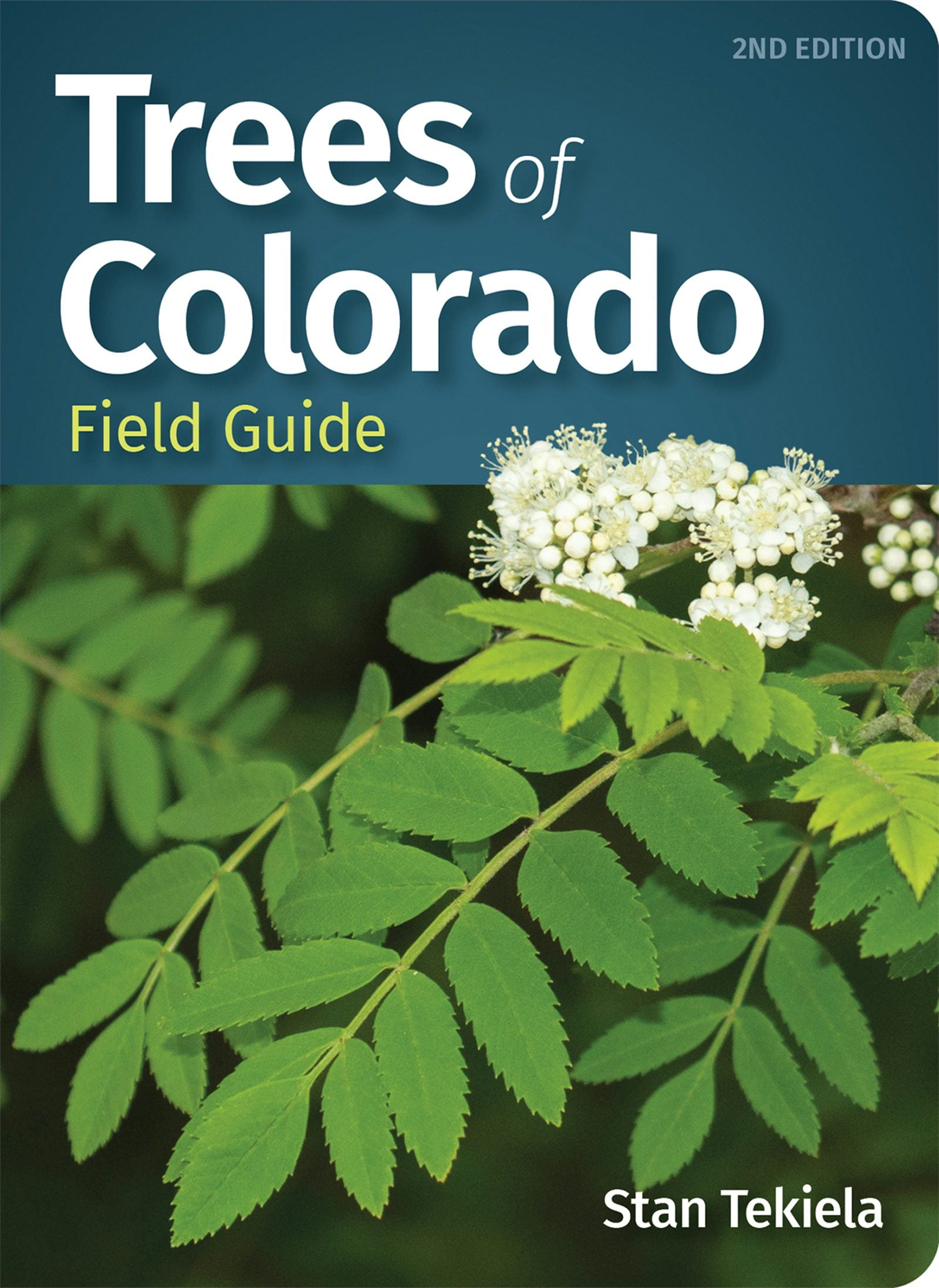 Book cover image for Trees of Colorado Field Guide ISBN: 9781647552688
