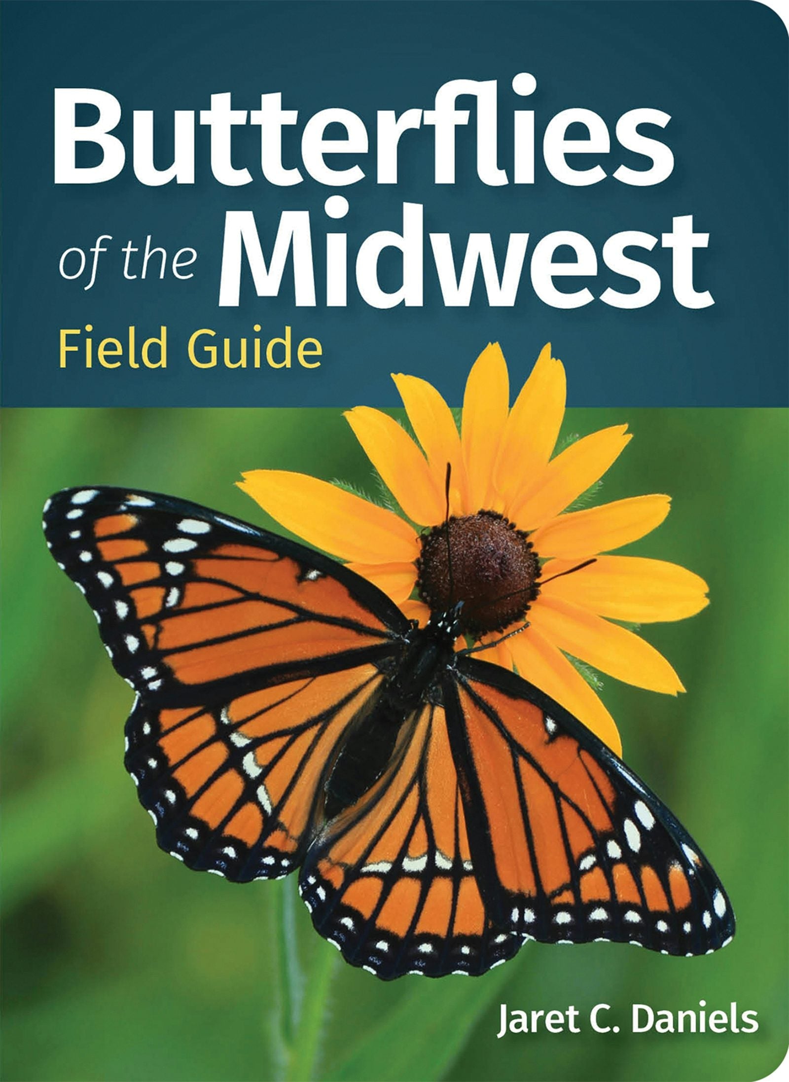 Book cover image for Butterflies of the Midwest Field Guide ISBN: 9781647552862