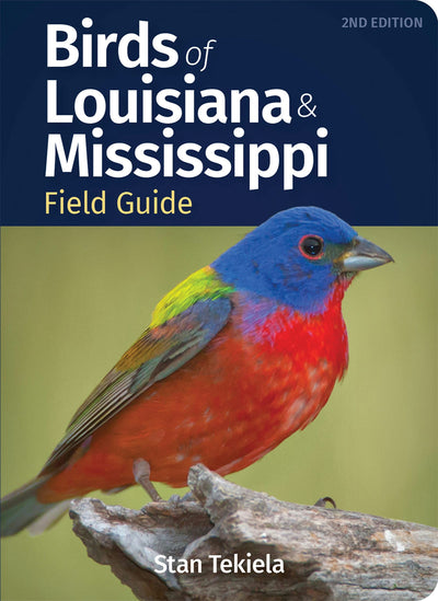 Cover image for Birds of Louisiana & Mississippi Field Guide, isbn: 9781647553005