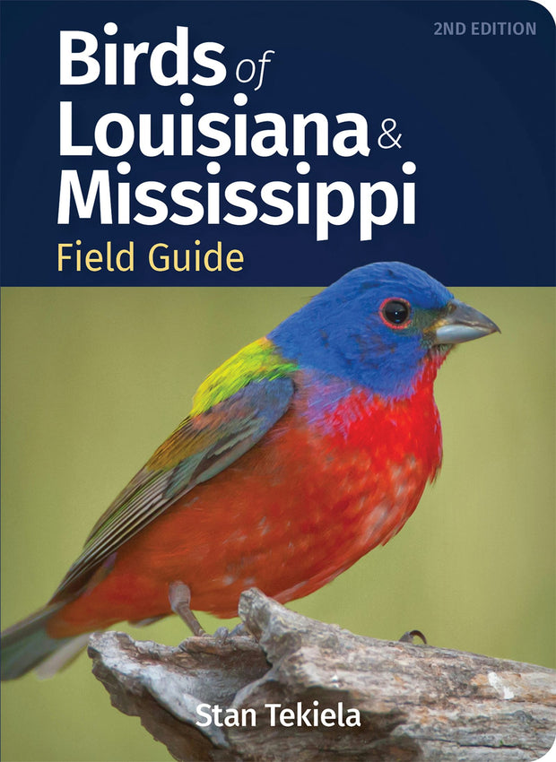 Cover image for Birds of Louisiana & Mississippi Field Guide, isbn: 9781647553005