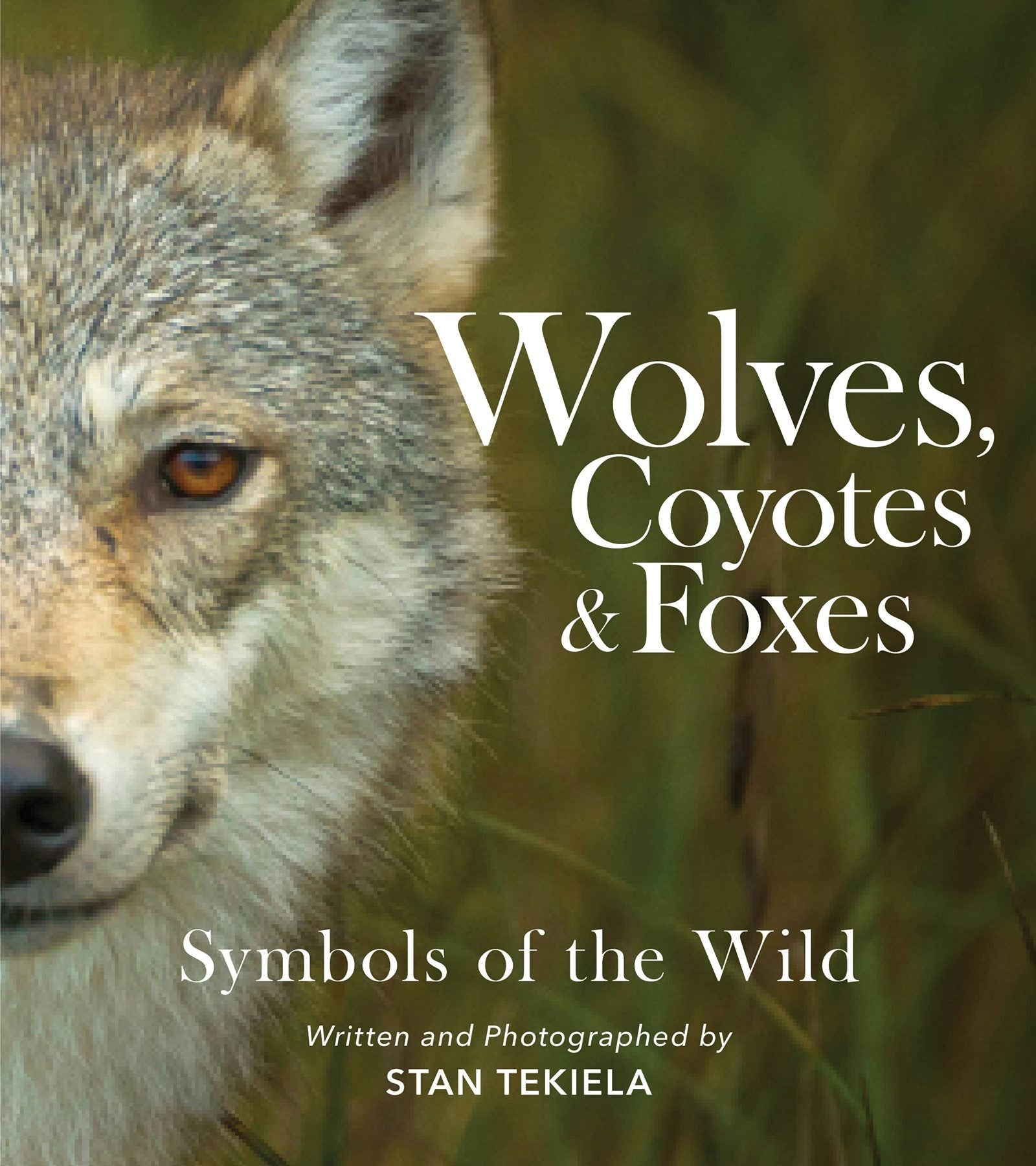 Book cover image for Wolves, Coyotes & Foxes ISBN: 9781647553166