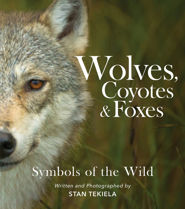 Cover image for Wolves, Coyotes & Foxes, isbn: 9781647553166