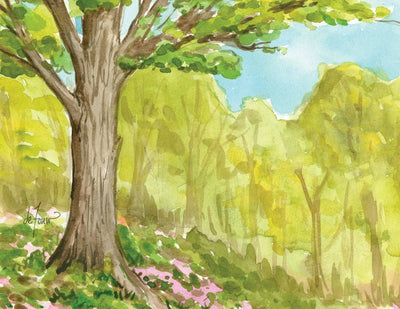 Cover image for The Seasons Boxed Notecard Assortment, isbn: 9781647553272