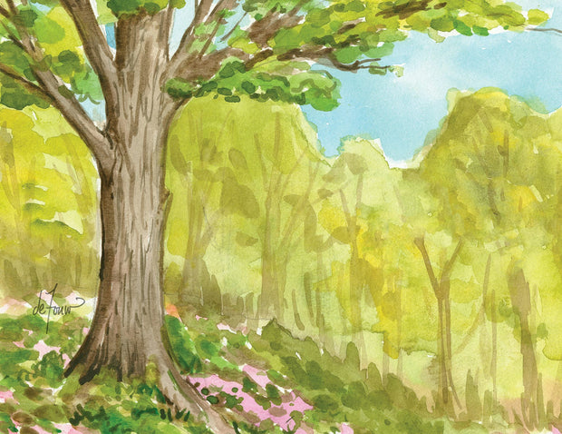 Cover image for The Seasons Boxed Notecard Assortment, isbn: 9781647553272