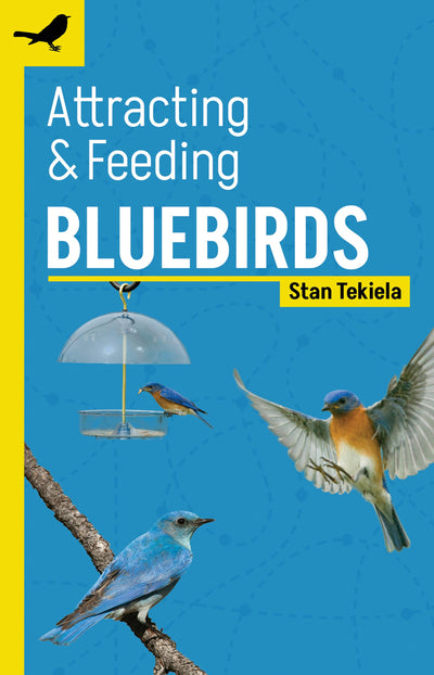 Cover image for Attracting & Feeding Bluebirds, isbn: 9781647553302