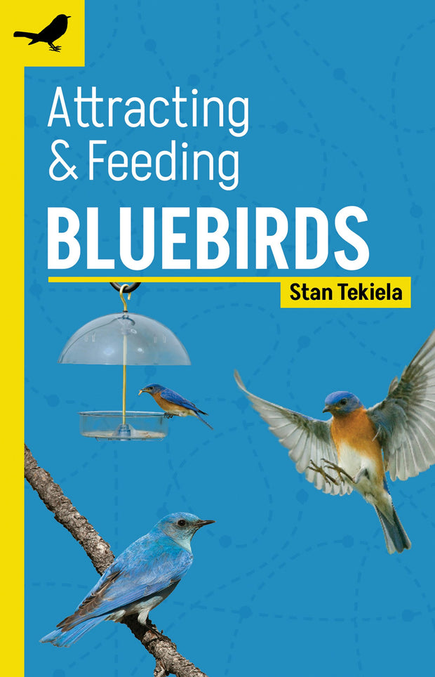 Cover image for Attracting & Feeding Bluebirds, isbn: 9781647553302
